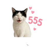 865044986