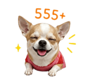 865045155
