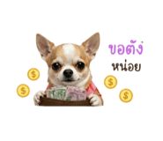 865045163