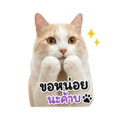 865046115