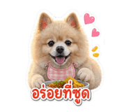 865046354