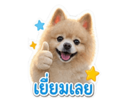 865046360