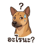 865048590