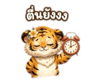 865050330