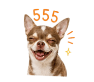 865052579