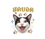 865053428