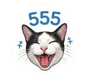 865053434