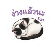 865053438