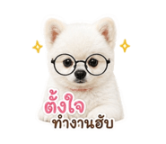 865054364