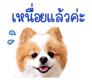 865055616
