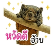 865055761