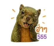 865055770