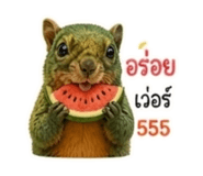 865055776