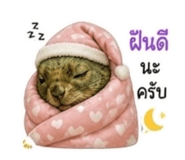 865055777