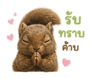 865055800