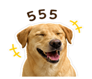 865055825