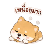 865055848