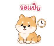 865055856