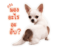 865056524