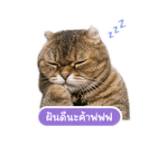 865057732