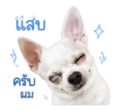 865058535