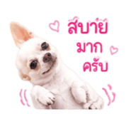 865058537