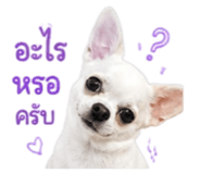 865058540