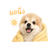 865059411