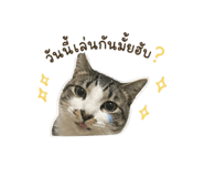 865059856