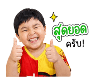 865061228