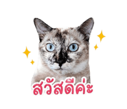 865061329