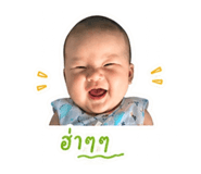865062245