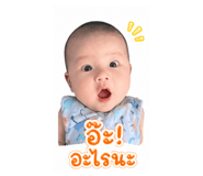 865062252