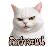 865064740
