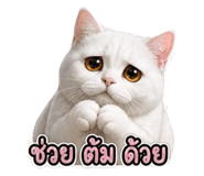 865064742