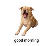 865066369