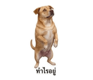 865066372