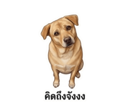 865066378
