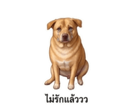 865066380