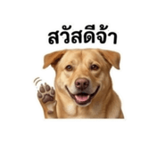 865066381