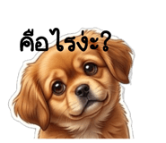 865066994