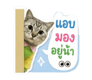 865067078
