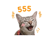 865067138