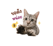865067147
