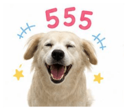865067362
