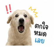 865067364