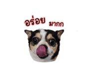 865067536