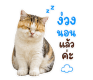 865067540