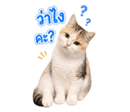 865067543
