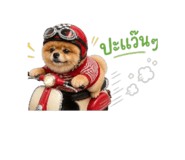 865084524